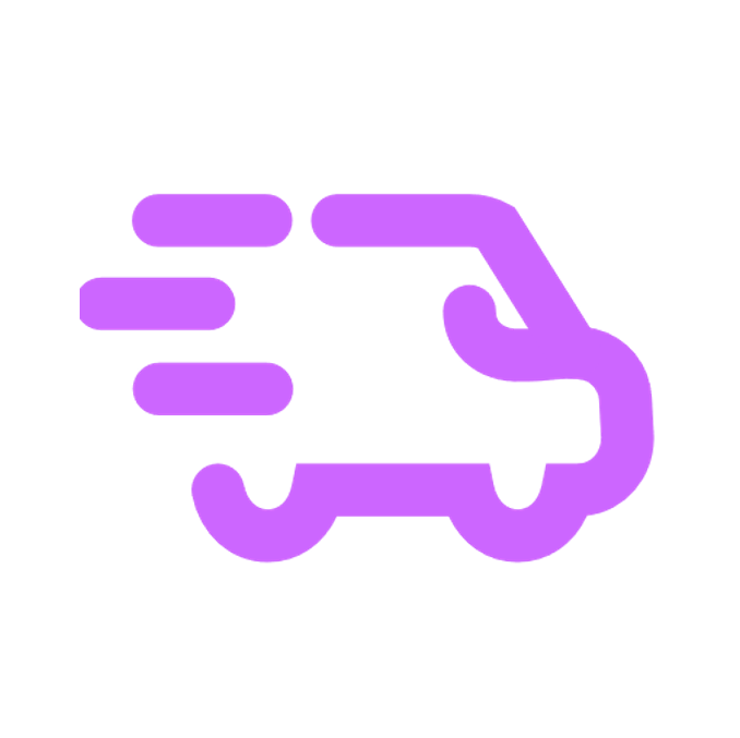 Purple icon of a stylized vehicle with motion lines, suggesting fast movement or delivery.